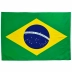 Bandeira Brasil 30 x 45cm Tecido s/Haste Carro Senhor Preço 75353