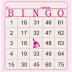 Bingo Numerado Jornal Bloco c/100 Fls Tamoio 