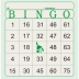 Bingo Numerado Jornal Bloco c/100 Fls Tamoio 