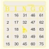 Bingo Numerado Jornal Bloco c/100 Fls Tamoio 