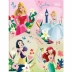 Caderno Brochura 1/4 (pequeno) Capa Dura 48 Fls Princesas Tilibra