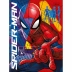 Caderno Brochura Univ. Capa Dura 48 Fls Spider-Man Tilibra