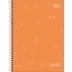 Caderno Espiral 1/4 (pequeno) Capa Dura 160 Fls Lunix Tilibra Sortido