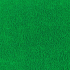 Verde Bandeira