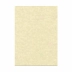 Papel Color Set A4 250g c/10 Fls Metalizado Majorca - Creme