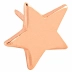 Percevejo Estrela Ouro Rose cx c/09 Unid Molin 23140