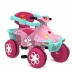 Quadriciclo de Passeio Pedal Smart Rosa Bandeirante