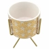 Cachepot Decorativo Com Suporte Dourado Moment CB1697