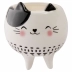 Cachepot Decorativo Gato Com Pés P Moment CB1958